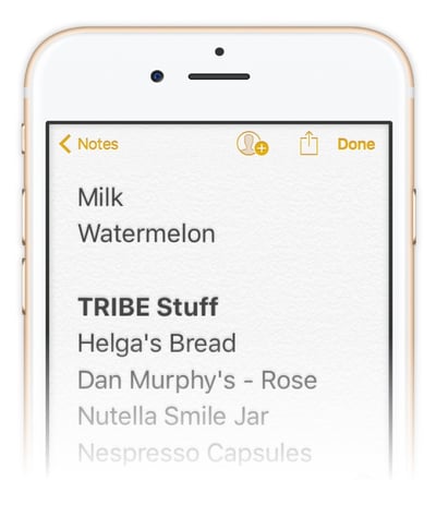 ShoppingList-Mockup-1-1.jpg TRIBE Shopping List