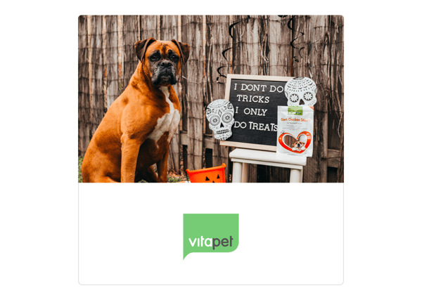 Halloween Vitapet
