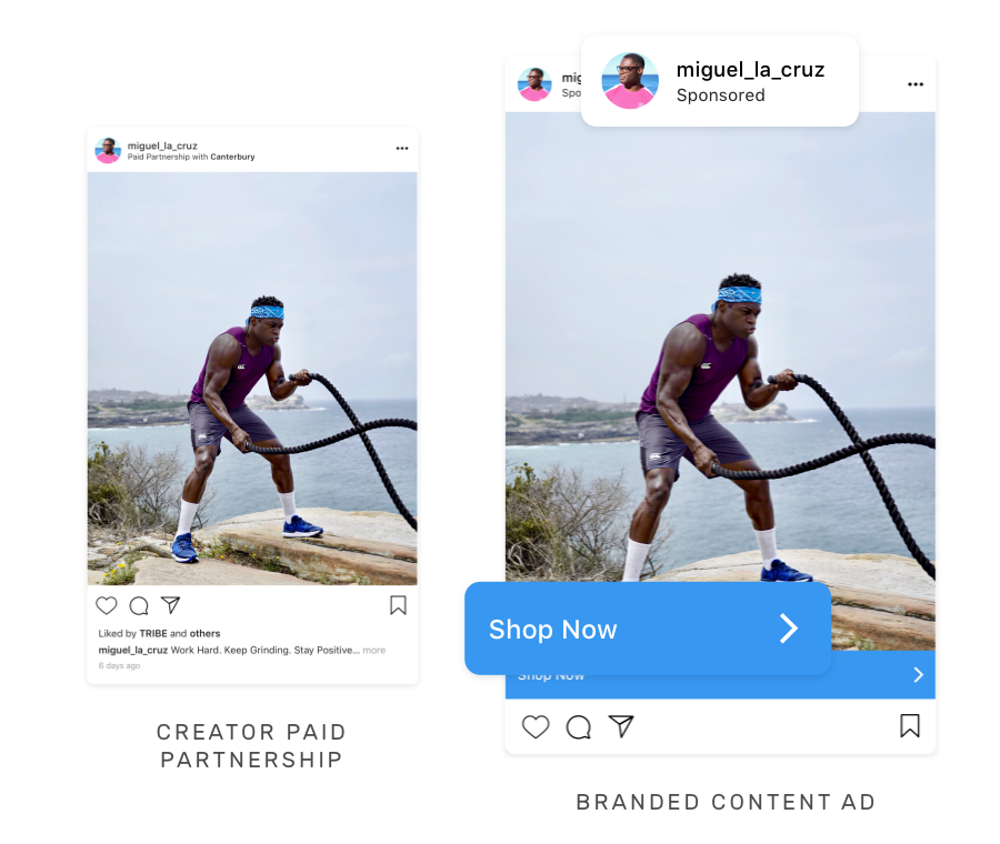 TRIBE Branded Content Ads