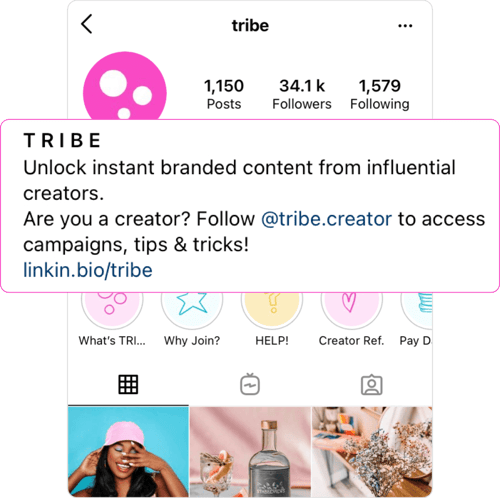 Screenshot of TRIBE's Instagram profile with the Profile text highlighted and enlarged