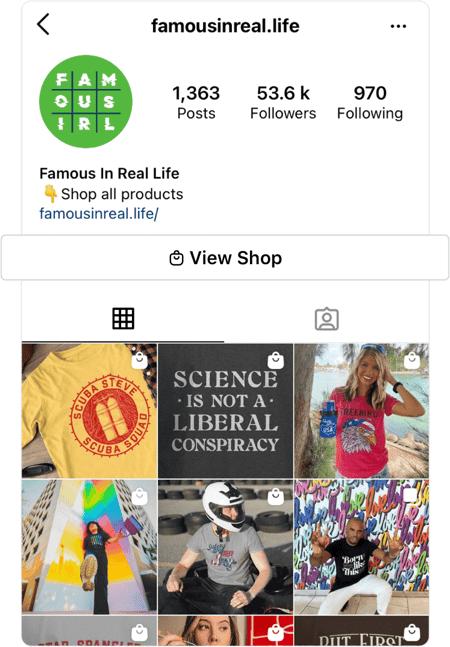 Screenshot of Instagram page with enlargened View Shop button