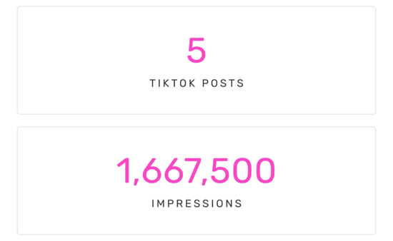 5 TikTok Posts | 1,667,500 Impressions