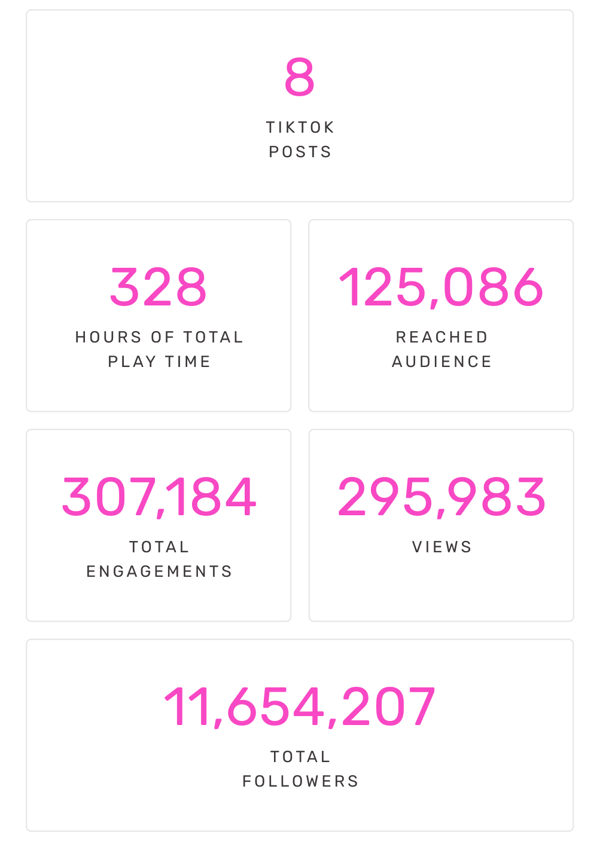 8 TikTok Posts | 328 Hours of Total Play Time | 125,086 Reached Audience | 307,184 Total Engagements | 295,983 Views | 11,654,207 Total Followers