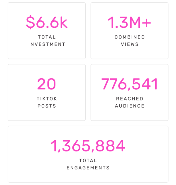 $6.6k Total Investment | 1.3M+ Combined Views | 20 TikTok Posts | 776,541 Reached Audience | 1,365,884 Total Engagements