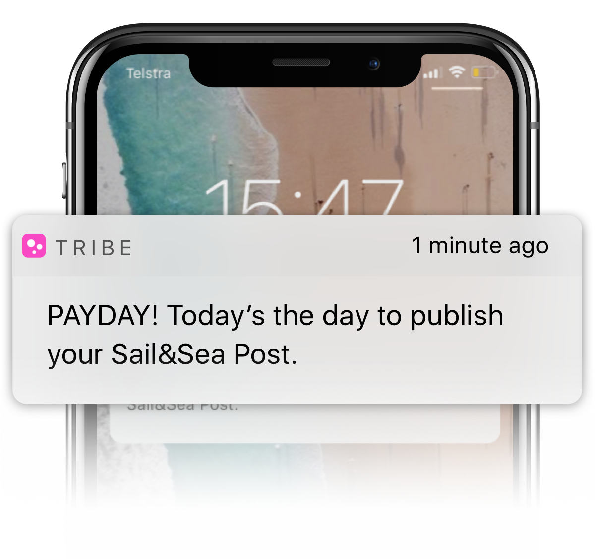 TRIBE Publish Payday Notification